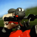 Motowippe - Wir fahren in Urlaub